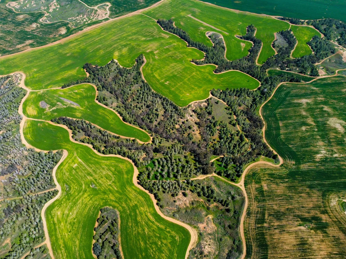 Overhead view of agricultural fields and tree lines