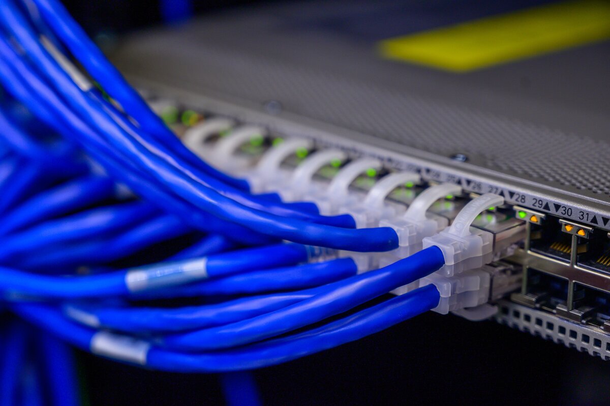 Ethernet cables connected to a network switch